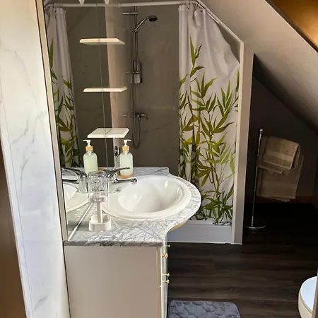 Kalon - La Bonne Etoile 3* Kogenheim